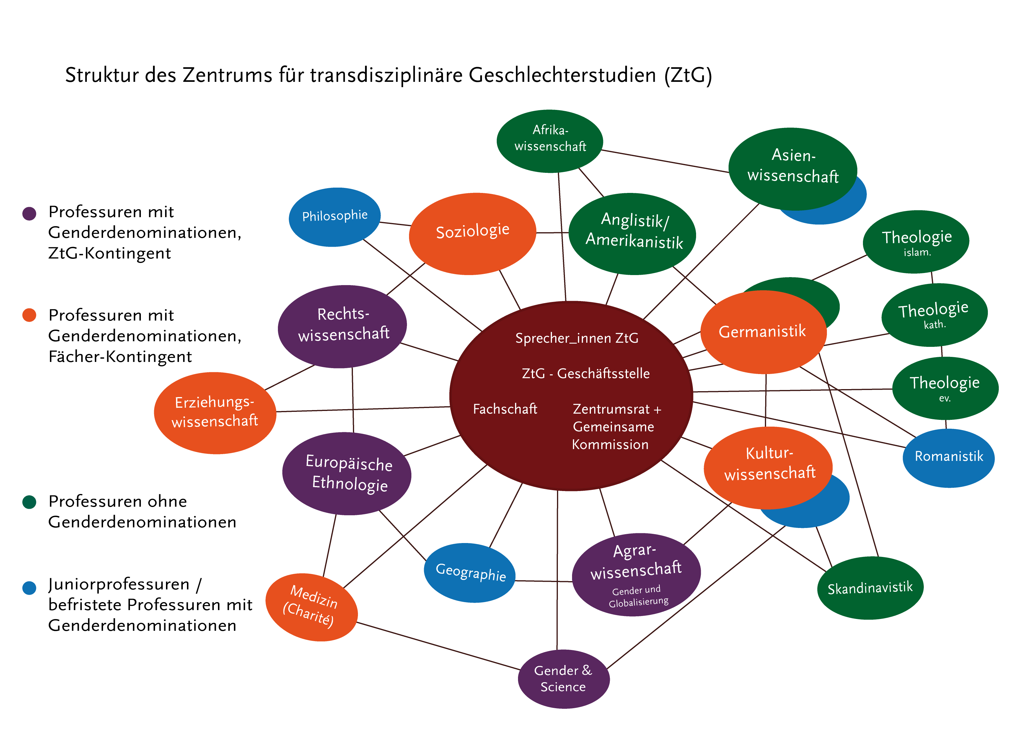 Zentrum für transdisziplinäre Geschlechterstudien Struktur Oktober 2021