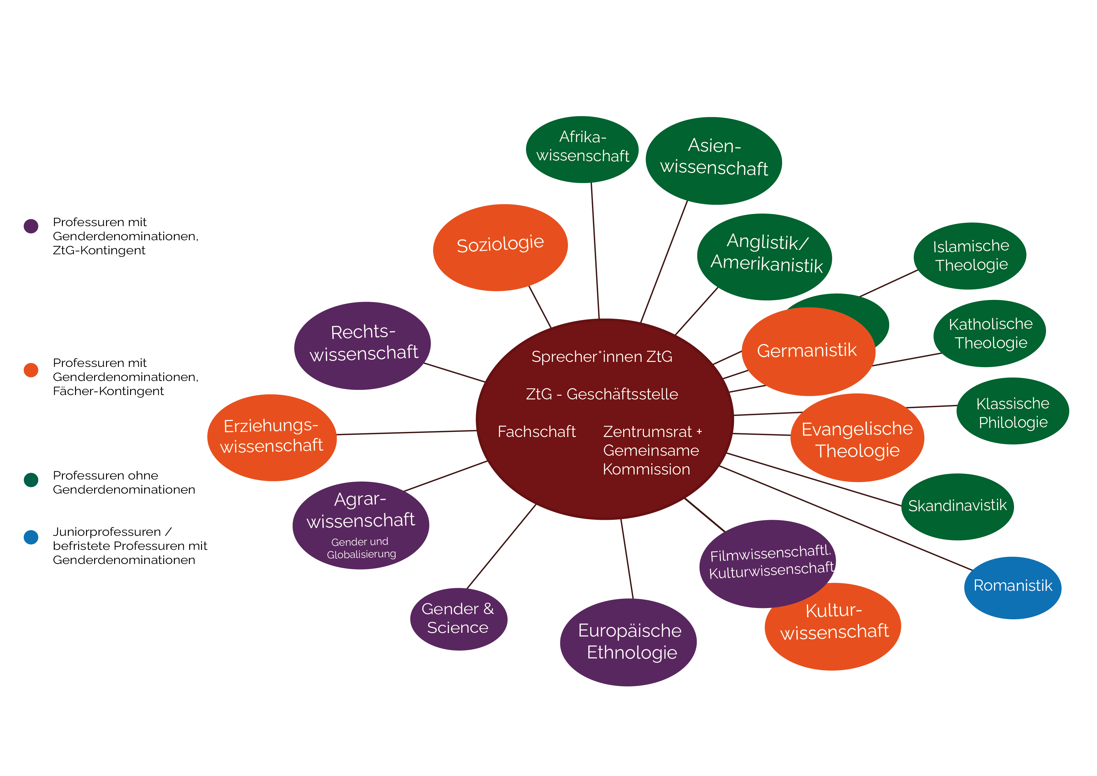 Zentrum für transdisziplinäre Geschlechterstudien Struktur Oktober 2025
